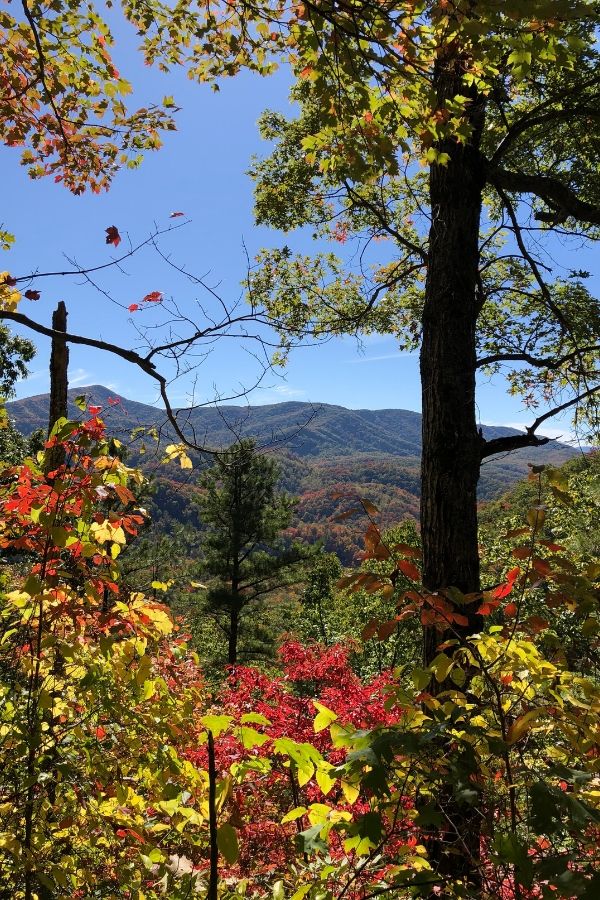 A picture of fall trees framing a distant mountain for this post about keeping a grateful heart when God's answer is no.
