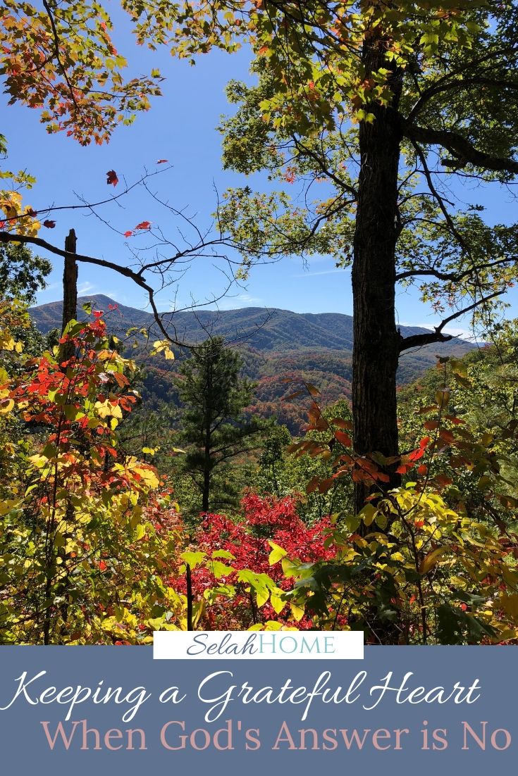 A Pinterest pin with a picture of fall trees framing a distant mountain. Designed for this post about keeping a grateful heart when God's answer is no.
