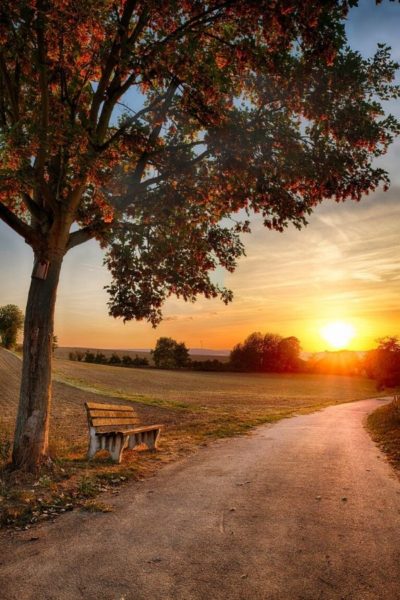 A picture of the sun setting over a country road for this post about God's amazing and extraordinary love.