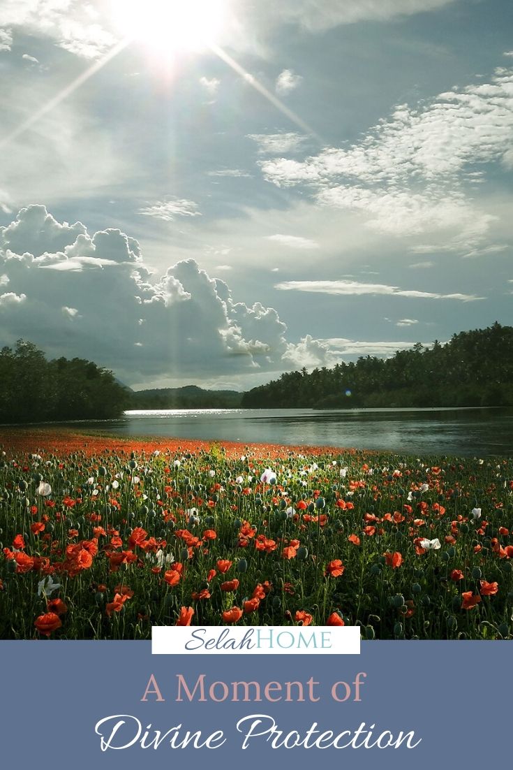 A Pinterest pin with a picture of a field of red flowers by a lake in the sunlight. Designed for this post about God's divine protection.