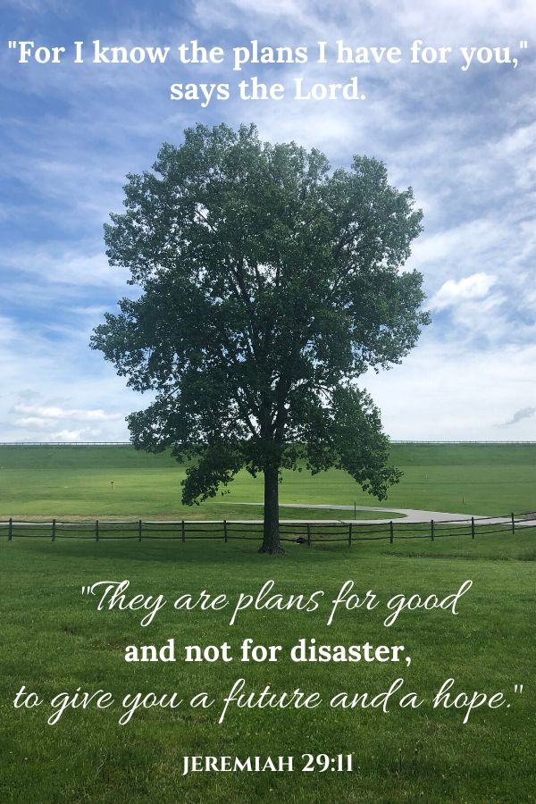 A picture of a tree in an open field for this post of bible verses about hope. A bible verse written across the picture reads, "For I know the plans I have for you," says the Lord. "They are plans for good and not for disaster, to give you a future and a hope." Jeremiah 29:11