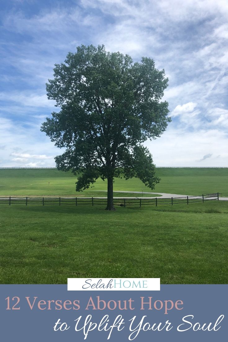 A Pinterest pin with a picture of a tree in an open field. Designed for this post on bible verses about hope.