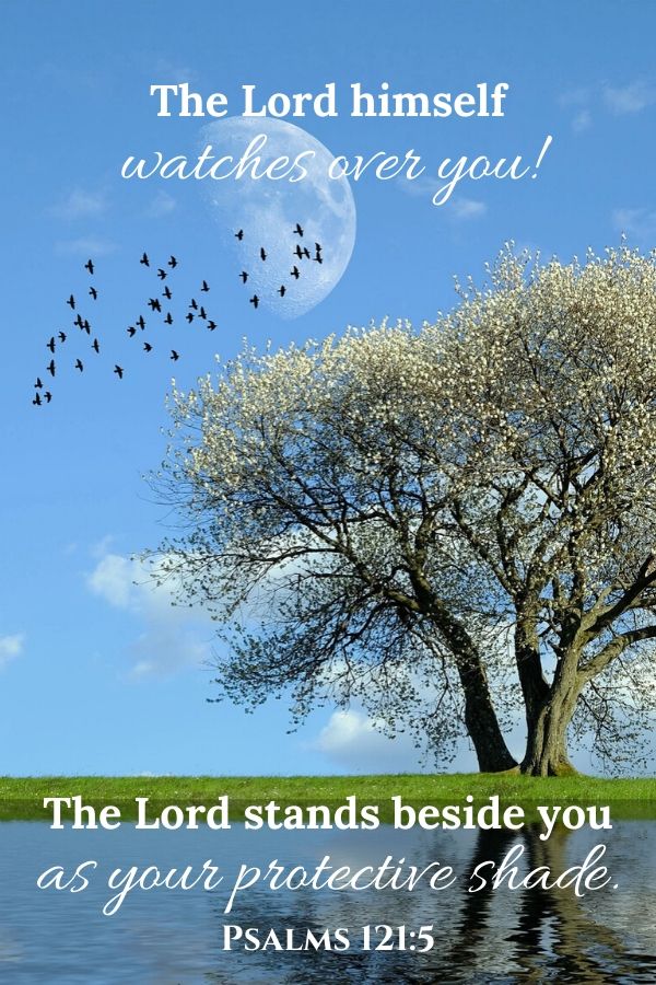A picture of a tree blooming in the spring by a lake for this post of bible verses about God's protection. A bible verse written across the picture reads, "The Lord himself watches over you! The Lord stands beside you as your protective shade." Psalms 121:5