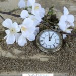 A Pinterest pin with a picture of a pocket watch and white flowers in the sand. Designed for this post about making the most of family moments.