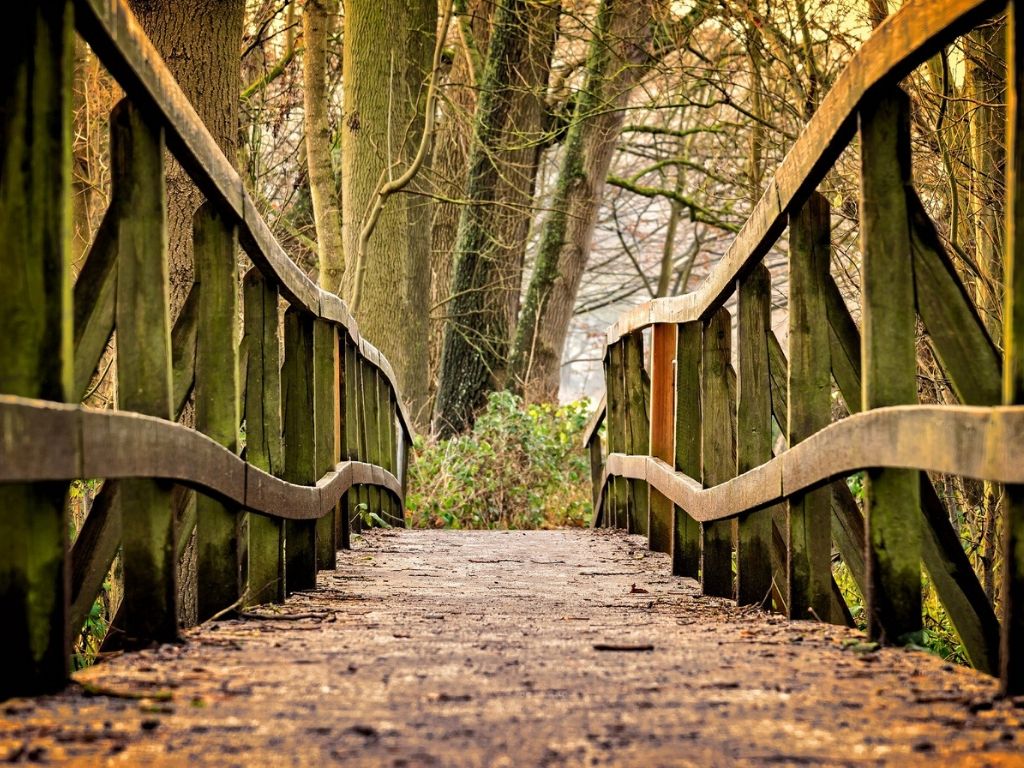 A picture of a rustic wooden bridge for this post about taking a step of faith.