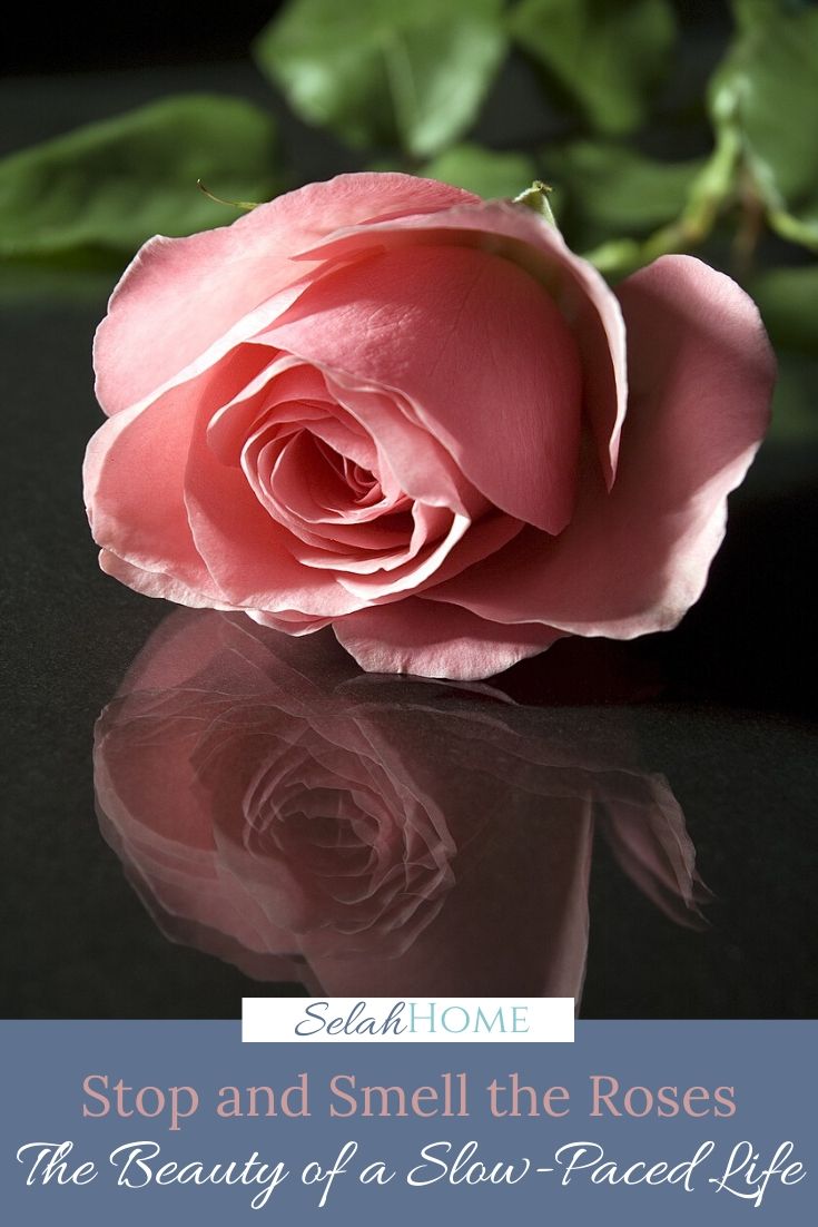 A Pinterest pin with a picture of a pink rose. Designed for this post on the beauty of a slow paced life.