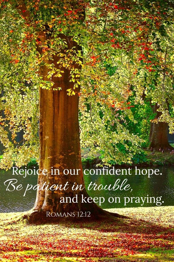 A picture of a tree in the fall for this post of verses about patience. A bible verse across the bottom reads, "Rejoice in our confident hope. Be patient in trouble and keep on praying." Romans 12:12