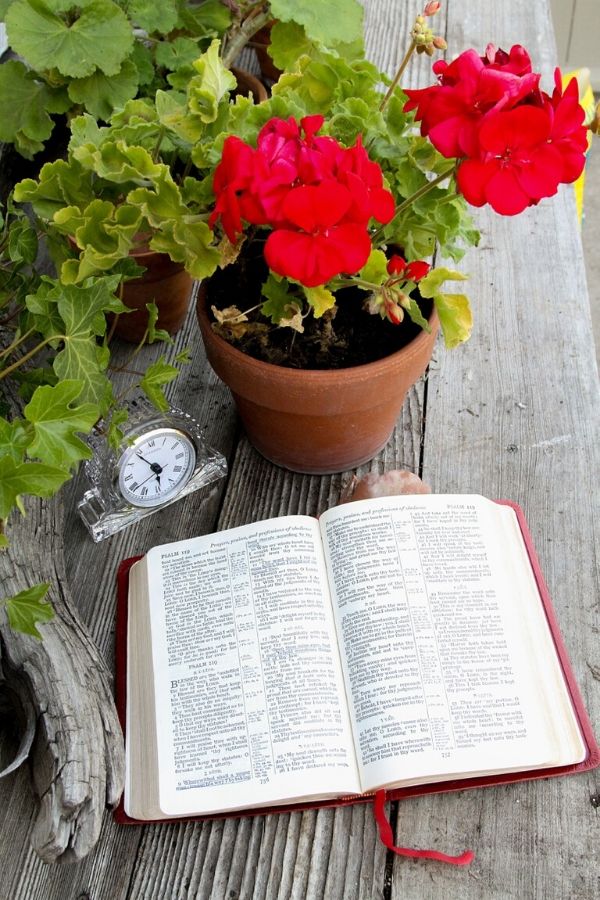 A picture of a flower pot and clock beside an open Bible for this post about the power of faith in God.