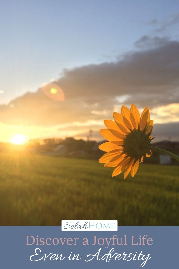 A Pinterest pin with a picture of a sunflower facing the sunrise. Designed for this post about discovering a joyful life.