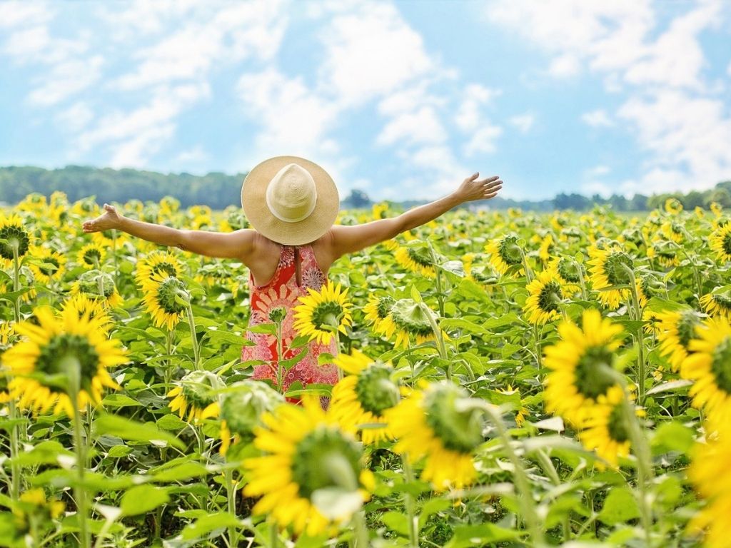 A picture of a woman in a field of sunflowers for this post about how to keep your joy.