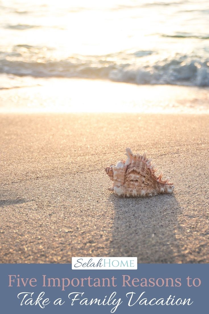 A Pinterest pin with a picture of a seashell on the beach. Designed for this post about the importance of family vacations.