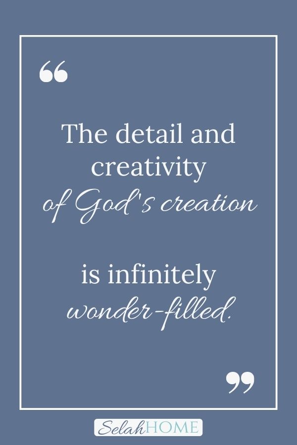 A quote for this post about living in awe of God that reads, "The detail and creativity of God's creation is infinitely wonder-filled."