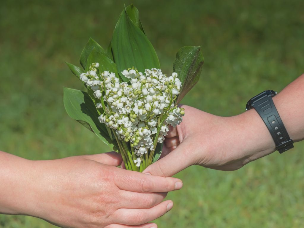 A picture of one person giving flowers to another for this post about the power of giving.