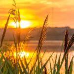 A picture of the sun rising over a lake and field for this post about how to overcome hope deferred.
