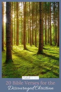 20 Bible Verses for the Frustrated Christian - Selah Home