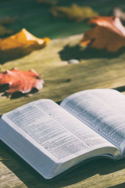 A picture of a Bible in a fall setting for this post of Bible verses about integrity.